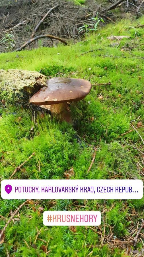 Apartmany Stran Potucky Екстериор снимка